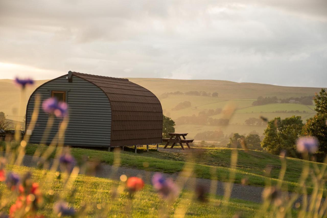 Villa Wild Northumberland Glamping Hexham Exterior foto